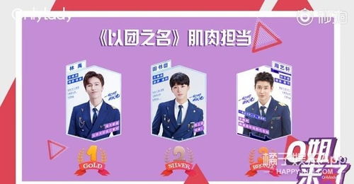 选男团游戏,成就音乐巅峰传奇(图2) 选男团游戏,成就音乐巅峰传奇(图2)