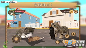 新的游戏猫,新游戏猫域传奇带你领略神秘猫生(图3) 新的游戏猫,新游戏猫域传奇带你领略神秘猫生(图3)