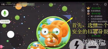 星星讲游戏,探索虚拟世界的奇幻之旅(图2)