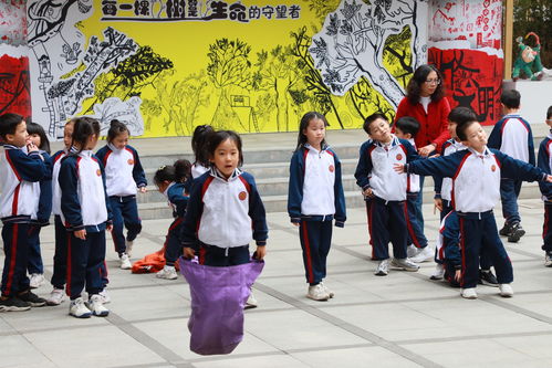 新学生游戏,新学生游戏带你开启奇幻冒险之旅(图2)