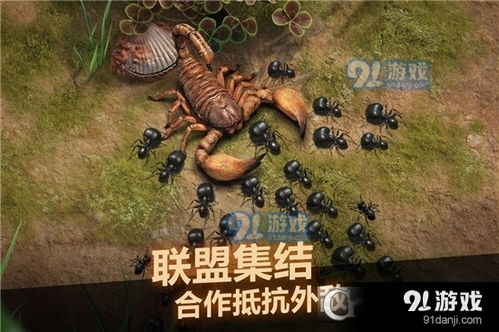 小桃的纠结安卓游戏 (图1) 小桃的纠结安卓游戏 (图1)