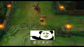 小哲游戏记,青春岁月中的欢乐时光(图2)
