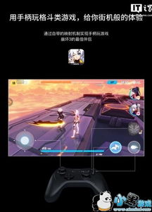 延禧攻略凤凰于飞正版游戏 (图2)