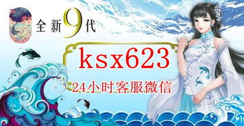 星力游戏微信客服,助力玩家畅游星河(图2)