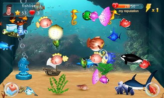 模拟水族馆游戏,模拟水族馆游戏深度体验(图1) 模拟水族馆游戏,模拟水族馆游戏深度体验(图1)
