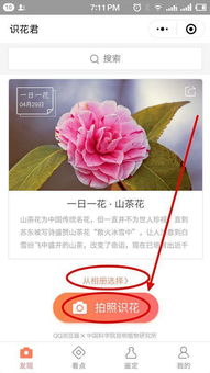 种植花草的手机游戏,打造你的手机花园王国(图2) 种植花草的手机游戏,打造你的手机花园王国(图2)