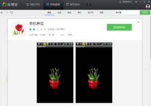 种植花草的手机游戏,打造你的手机花园王国(图1) 种植花草的手机游戏,打造你的手机花园王国(图1)