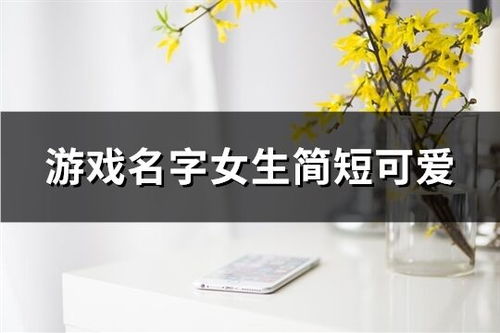 文艺简洁游戏名字女,邂逅文艺简洁的游戏世界(图3) 文艺简洁游戏名字女,邂逅文艺简洁的游戏世界(图3)