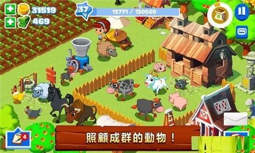 农场休闲游戏,打造你的农场休闲游戏乐园(图2) 农场休闲游戏,打造你的农场休闲游戏乐园(图2)