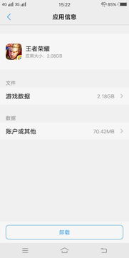 王者清理游戏数据后果,游戏体验焕然一新!(图3) 王者清理游戏数据后果,游戏体验焕然一新!(图3)