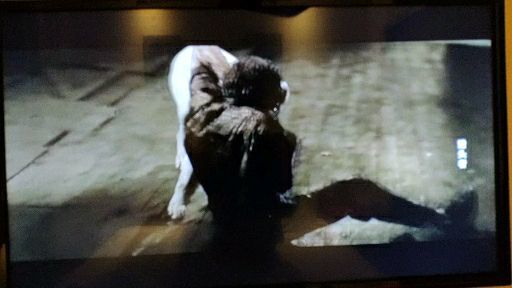 猎头游戏 mp4,职场精英的生死较量(图2) 猎头游戏 mp4,职场精英的生死较量(图2)