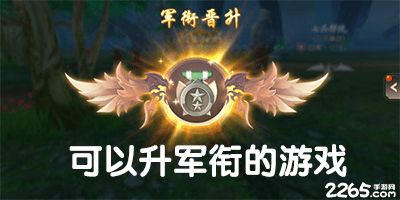 提升军衔的单机游戏,单机战场上的荣耀征程(图3) 提升军衔的单机游戏,单机战场上的荣耀征程(图3)