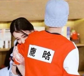 热巴代言的游戏,畅游奇幻世界——揭秘热门游戏梦幻之境(图1) 热巴代言的游戏,畅游奇幻世界——揭秘热门游戏梦幻之境(图1)