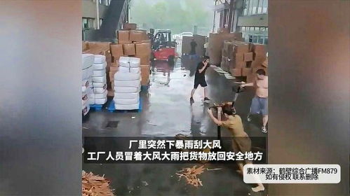 刮大风下大雨游戏,挑战极限的刺激冒险之旅(图3) 刮大风下大雨游戏,挑战极限的刺激冒险之旅(图3)