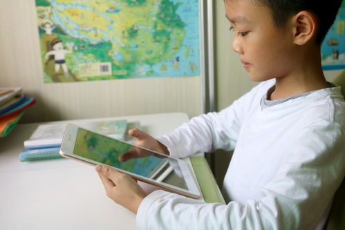 家教机如何安装游戏,家教机游戏安装指南(图3) 家教机如何安装游戏,家教机游戏安装指南(图3)