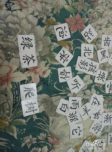 好玩的字卡游戏,畅游汉字世界的趣味之旅(图1)