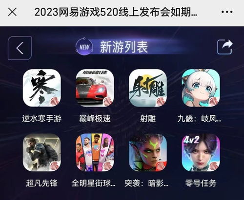 网易新游戏叫什么,探索未知世界的奇幻冒险之旅(图2)