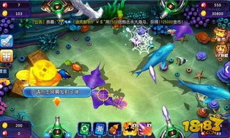 玩捕鱼达人游戏的技巧,畅游海洋(图1) 玩捕鱼达人游戏的技巧,畅游海洋(图1)