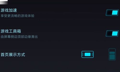 小米手机游戏加速设置,解锁游戏性能新境界(图3) 小米手机游戏加速设置,解锁游戏性能新境界(图3)