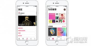 苹果爱应用游戏平台,尽享无限乐趣(图2)