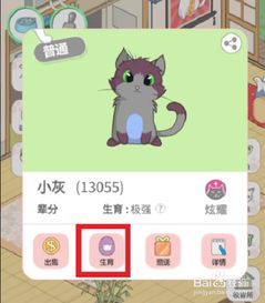 淘宝猫舍游戏攻略,解锁猫咪乐园(图3)