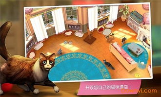 淘宝猫舍游戏攻略,解锁猫咪乐园(图2)