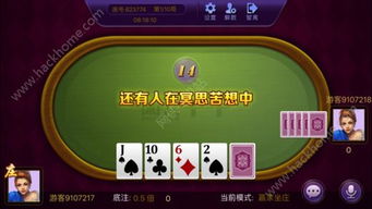 闲人游戏手机版官网,尽享休闲时光(图2)