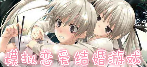 能恋爱结婚的游戏,探索恋爱与婚姻的奇幻游戏世界(图1)