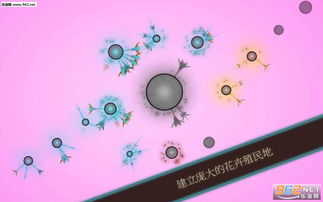 真菌世界 (图1)