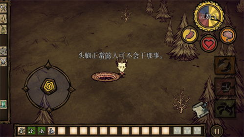 饥荒联机版下载手机版 (图1)