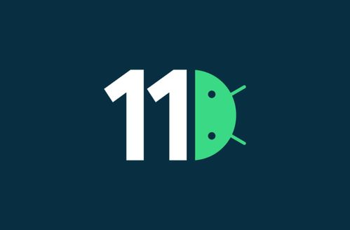 幻影wifi安卓11 (图2)