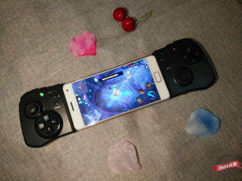 过往之内游戏下载 (图3)