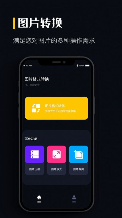 爱莎公主游戏换装 (图1)