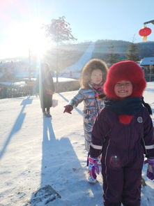 雪狼谷游戏,挑战极限生存之旅(图3) 雪狼谷游戏,挑战极限生存之旅(图3)