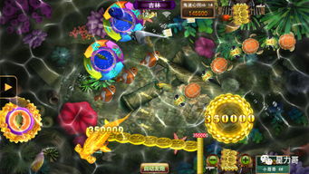 星力打鱼游戏能控制吗,揭秘如何轻松掌控游戏节奏(图3) 星力打鱼游戏能控制吗,揭秘如何轻松掌控游戏节奏(图3)