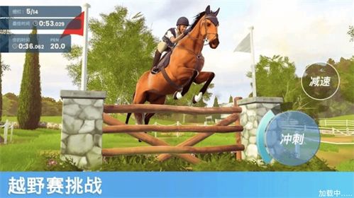 选马匹游戏,揭秘马匹游戏中的智慧与策略(图1) 选马匹游戏,揭秘马匹游戏中的智慧与策略(图1)