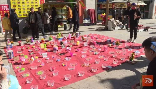 新年套圈游戏,惊喜连连!”(图2) 新年套圈游戏,惊喜连连!”(图2)