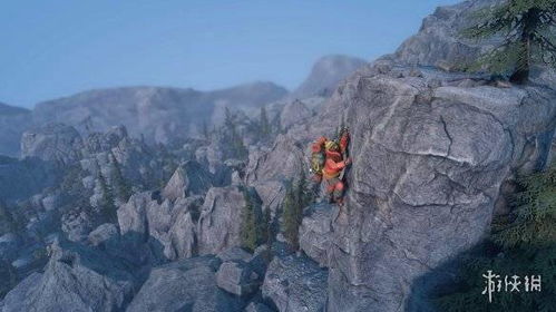 雪孤山游戏(图1) 雪孤山游戏(图1)