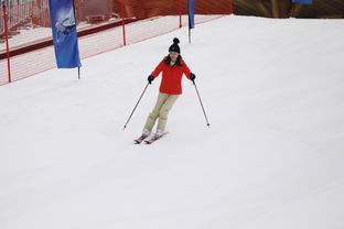 雪空游戏,探索神秘雪域世界(图3)