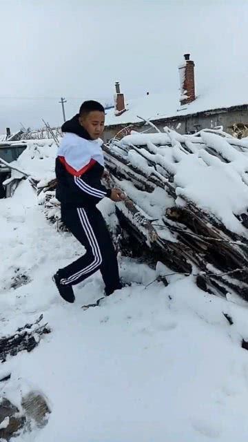 雪空游戏,探索神秘雪域世界(图2)