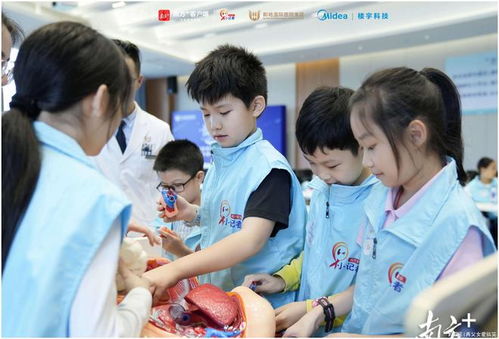 学器官游戏,学器官游戏趣味科普之旅(图2)