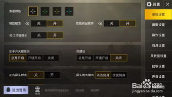 绝地求生游戏内设置(图2)