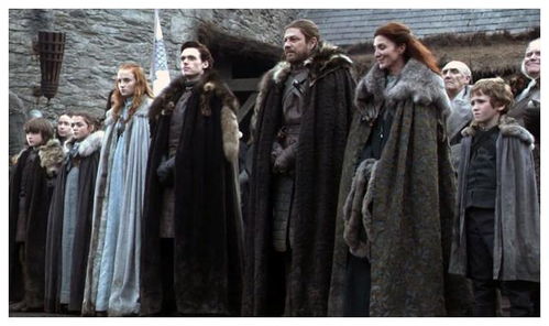 权利的游戏斯塔克家族,斯塔克家族的荣耀与宿命(图1)