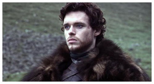 权利的游戏斯塔克家族,斯塔克家族的荣耀与宿命(图2)