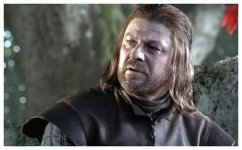 权利的游戏斯塔克家族,斯塔克家族的荣耀与宿命(图3)