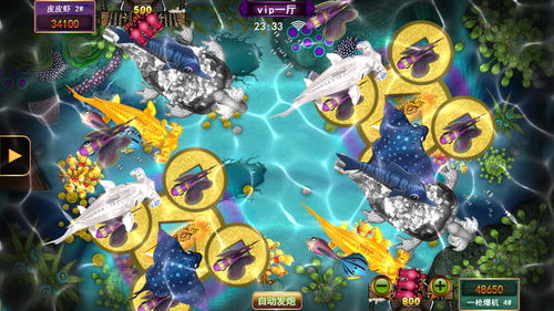 星力手机捕鱼游戏下载安装,轻松下载安装(图3) 星力手机捕鱼游戏下载安装,轻松下载安装(图3)