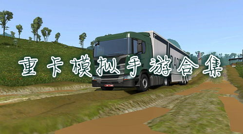 货车单机游戏,货车单机游戏深度解析(图2)