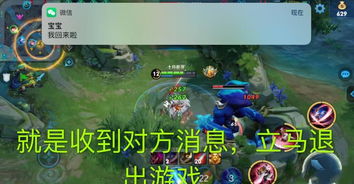 有没有荣耀这个游戏,探寻游戏世界的荣耀与激情(图3) 有没有荣耀这个游戏,探寻游戏世界的荣耀与激情(图3)