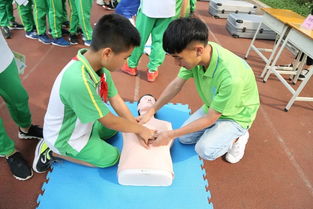 心肺复苏游戏,心肺复苏游戏体验指南(图2) 心肺复苏游戏,心肺复苏游戏体验指南(图2)