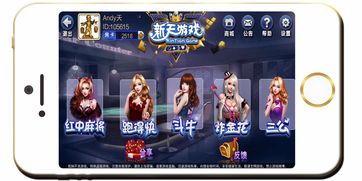 新天游戏辅助,体验极致畅玩之旅(图3) 新天游戏辅助,体验极致畅玩之旅(图3)